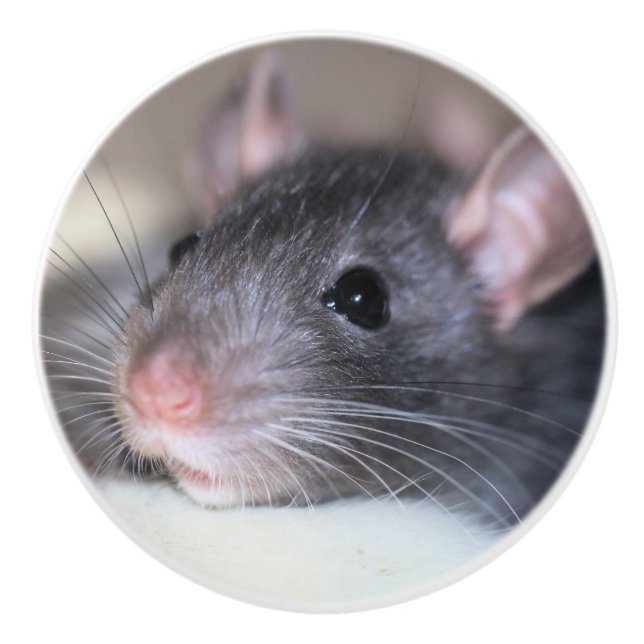 Pomo De Cerámica Adorable (Anverso)