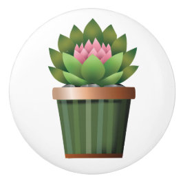 Pomo De Cerámica Aeonium florida