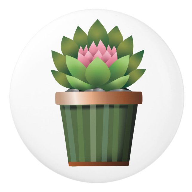 Pomo De Cerámica Aeonium florida (Anverso)