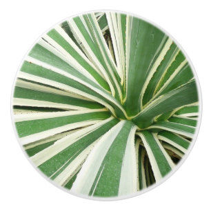 Pomo De Cerámica Agave Plant Green y White Strike