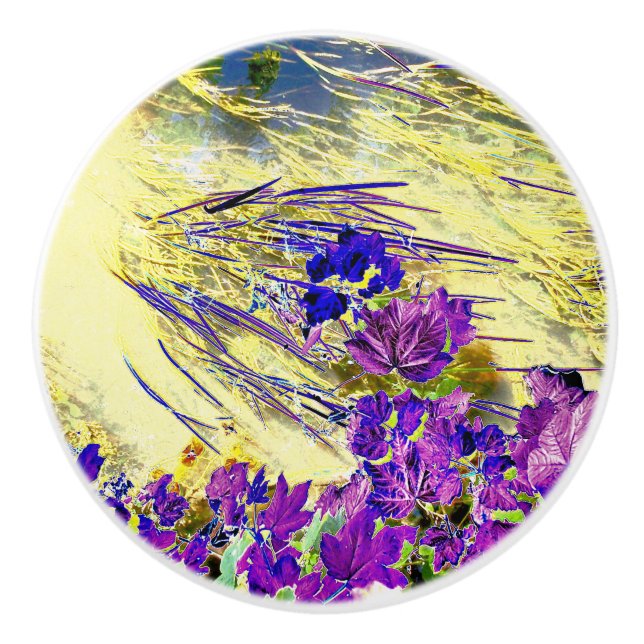 POMO DE CERÁMICA AGUA (Anverso)