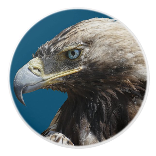 Pomo De Cerámica Águila (Anverso)