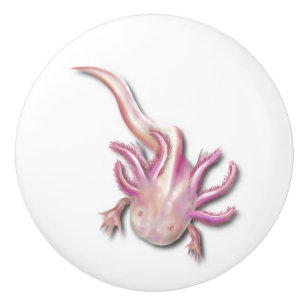 Pomo De Cerámica Albino Axolotl "Walking Fish" Art