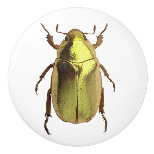 Pomo De Cerámica Albornoces dorados