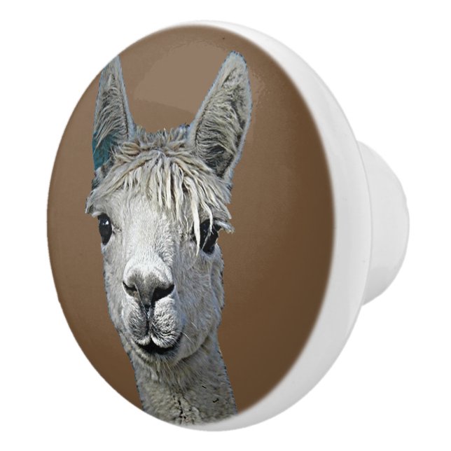 Pomo De Cerámica Alpaca Alpakka Alpaka Alpaga (Derecha)