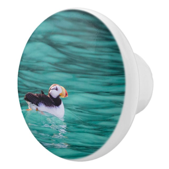 Pomo De Cerámica Aluminio En La Bahía Resurrección, Alaska (Derecha)