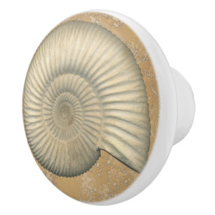 Pomo De Cerámica Amonita de Perisphinctes