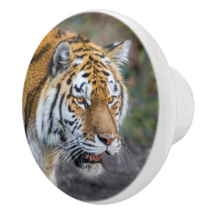 Pomo De Cerámica Amur tiger