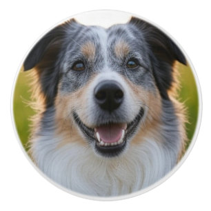 Pomo De Cerámica Añadir Personalizar de fotografía Mascota