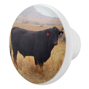 Pomo De Cerámica Angus negros Steer Grazing con su manada