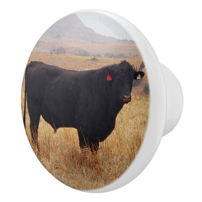 Pomo De Cerámica Angus negros Steer Grazing con su manada (Derecha)