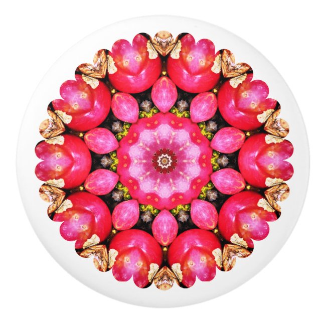 POMO DE CERÁMICA APLICACIONES (Anverso)