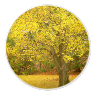 POMO DE CERÁMICA "ÁRBOL DE ORO EN SUNLIT MEADOW"