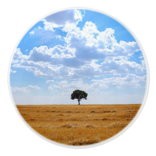Pomo De Cerámica Árbol en un campo de trigo cosechado