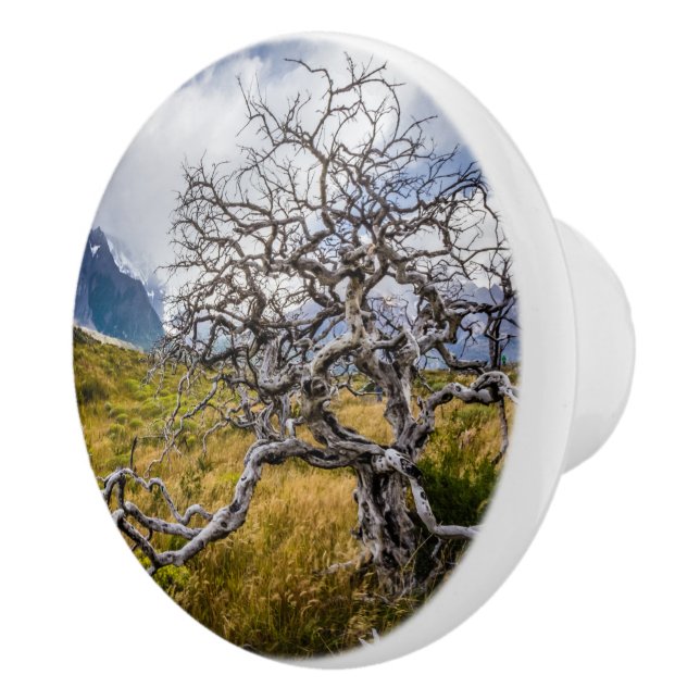 Pomo De Cerámica Árbol quemado, Torres del Paine, Chile (Derecha)