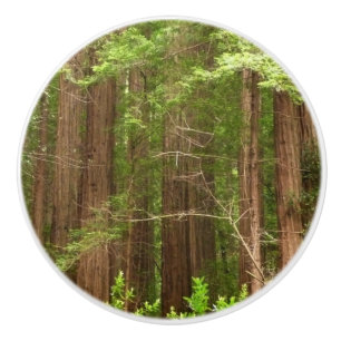 Pomo De Cerámica Árboles de secuoya en monumento nacional Muir Wood
