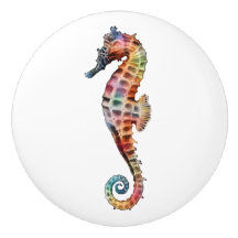 Arco iris del Seahorse