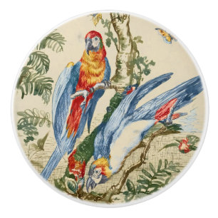 Pomo De Cerámica Arte Antiguo de Loro Tropical y Mariposa