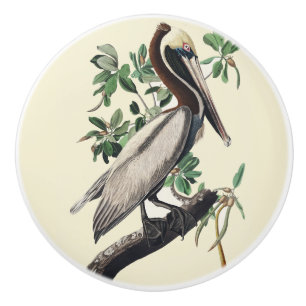 Pomo De Cerámica Arte de Ave Costera Pelícano Marrón Audubon Vintag