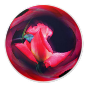 Pomo De Cerámica Arte de resumen de color rosa rosebud