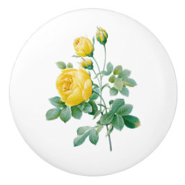 Pomo De Cerámica Arte fino de rosa amarilla vintage
