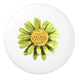 Pomo De Cerámica ARTE Y DISEÑO Extracción cerámica