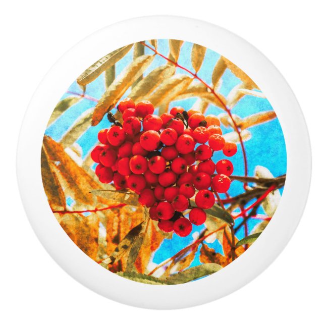 Pomo De Cerámica Asberry artístico (Anverso)