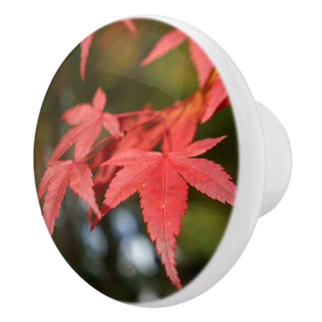 Pomo De Cerámica Autumn Leaves Ceramic Knob (Derecha)