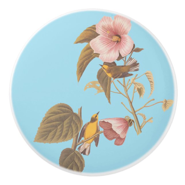 Pomo De Cerámica Ave de Abeja Amarilla Amarilla Azul Audubon (Anverso)