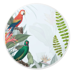 Pomo De Cerámica Aves tropicales loros y follaje 