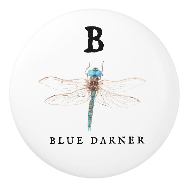 Pomo De Cerámica "B" Blue Darner (Anverso)