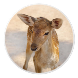 Pomo De Cerámica Baby Deer