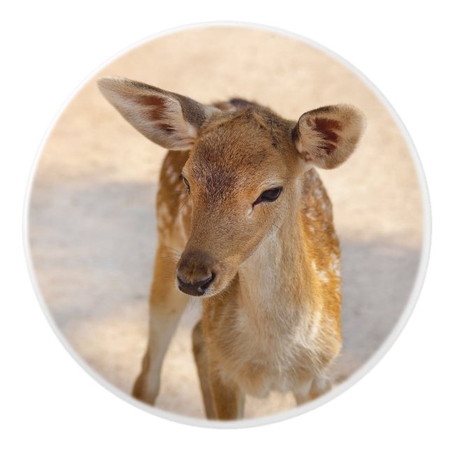 Pomo De Cerámica Baby Deer (Anverso)