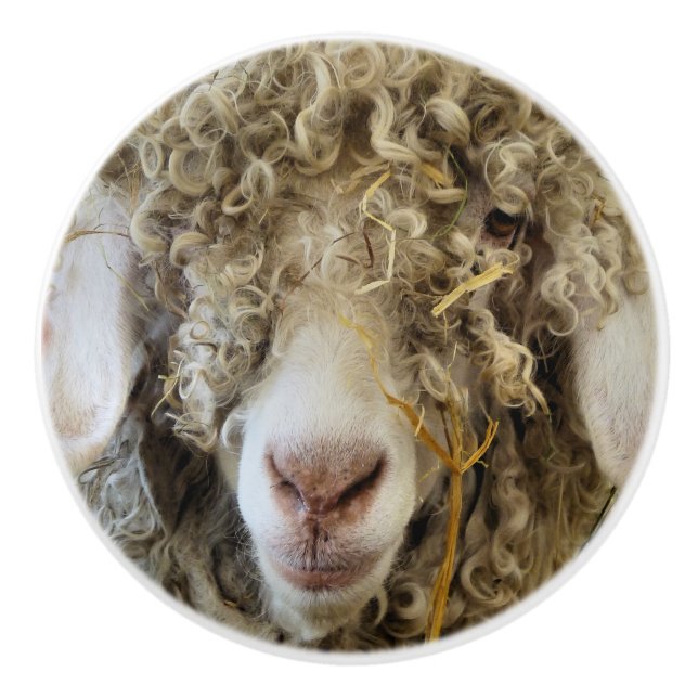 POMO DE CERÁMICA BARBA (Anverso)