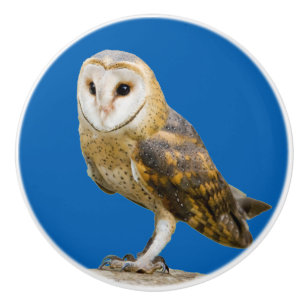 Pomo De Cerámica Barn Owl