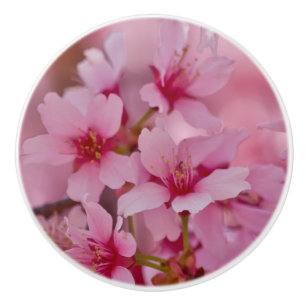 Pomo De Cerámica Bathin in Pink Japanese Cherry Blossoms