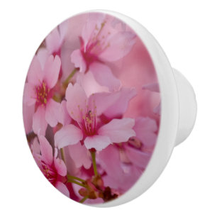 Pomo De Cerámica Bathin in Pink Japanese Cherry Blossoms