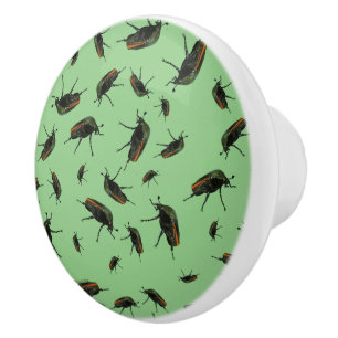 Pomo De Cerámica Beetle Bug Knobs