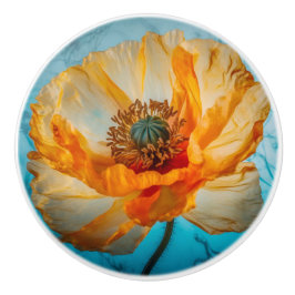 Pomo De Cerámica Belleza naranja