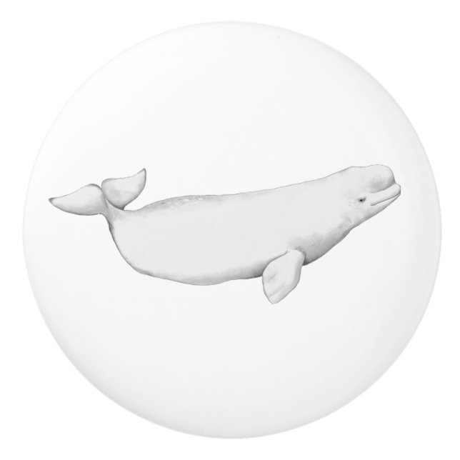 Pomo De Cerámica Beluga Ilustracion de ballena Lover Regalo blanco (Anverso)