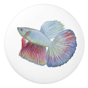 Pomo De Cerámica Betta Fish Ceramic Knob