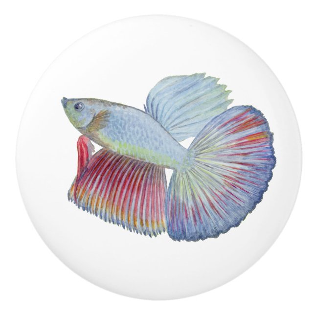 Pomo De Cerámica Betta Fish Ceramic Knob (Anverso)
