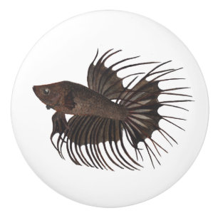 Pomo De Cerámica Betta Fish Ceramic Knob