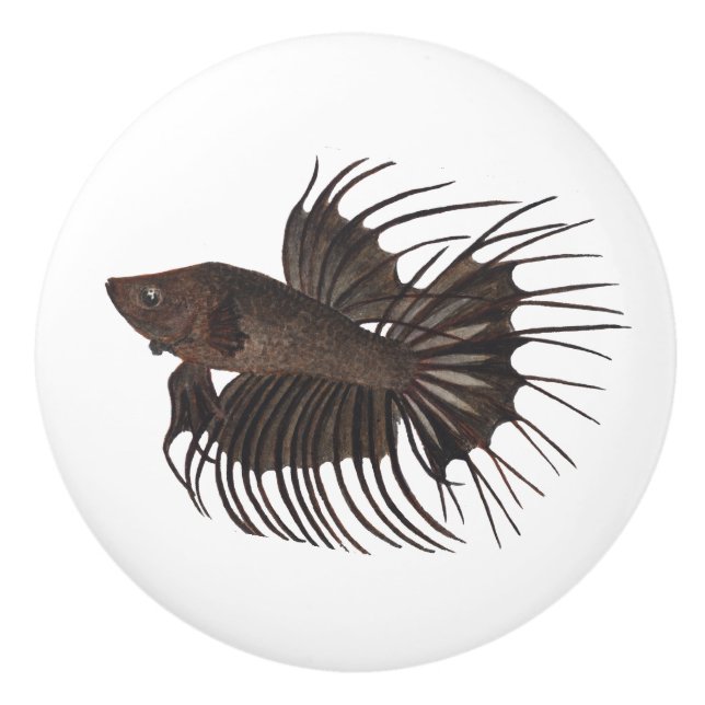 Pomo De Cerámica Betta Fish Ceramic Knob (Anverso)