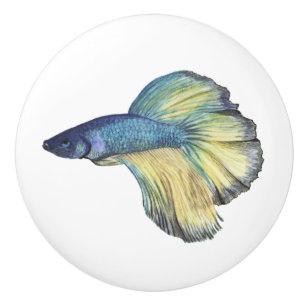 Pomo De Cerámica Betta Fish Ceramic Knob