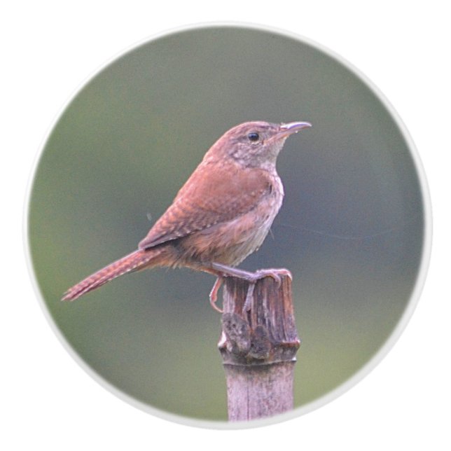 Pomo De Cerámica Birdie Ceramic Knob (Anverso)