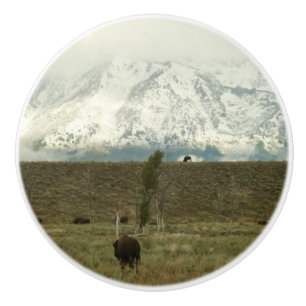 Pomo De Cerámica Bison en la fotografía del parque nacional del Gra