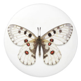 Pomo de cerámica - Blanco, marrón y Naranja