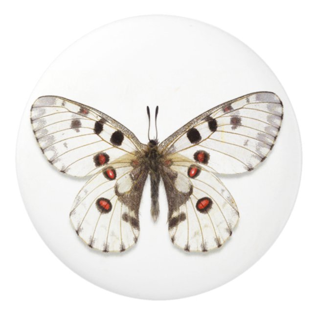 Pomo de cerámica - Blanco, marrón y Naranja (Anverso)