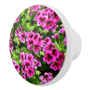 Pomo De Cerámica "Blooms vibrantes: Geranios rosados calientes sobr